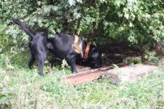 1_DSCF7389
