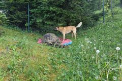 chata_Bystr__0624_13