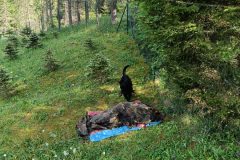 chata_Bystr__0624_16