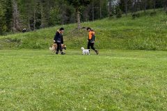 chata_Bystr__0624_18