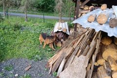 chata_Bystr__0624_19