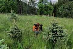 chata_Bystr__0624_21