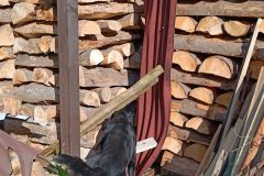 chata_Bystr__0624_4