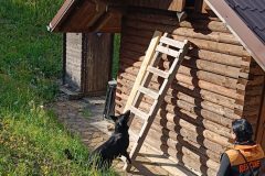chata_Bystr__0624_5