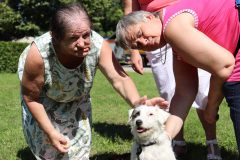 dss_kosuty_823_15