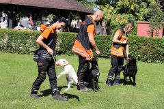 dss_kosuty_823_33