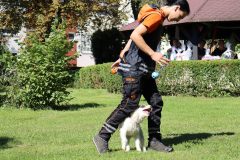 dss_kosuty_823_44