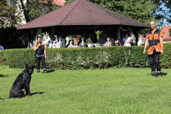 dss_kosuty_823_48