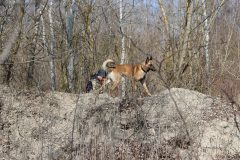 gabcikovo0323_36