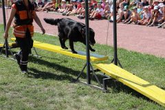 IMG_4467