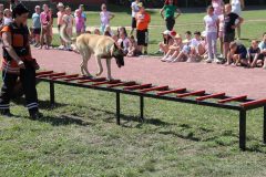 IMG_4474