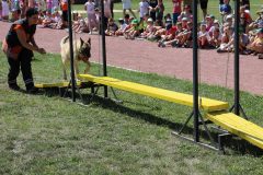 IMG_4477