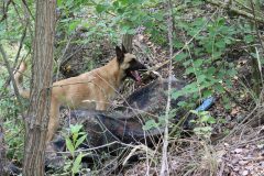gabcikovo120725_12