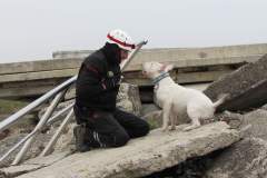 viber_image_2019-11-18_13-37-32