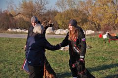 IPOR_2024_18