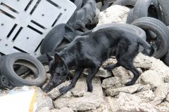 jaszbereny0924_11