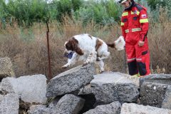 jaszbereny0924_15