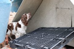 jaszbereny0924_21