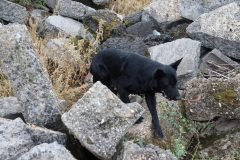 jaszbereny0924_22