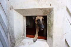 jaszbereny0924_23