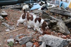 jaszbereny0924_28