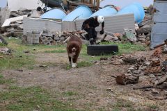 jaszbereny_0623_4