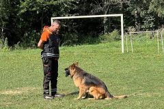 junior_handling_0823_18