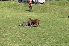 junior_handling_0823_4
