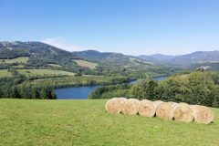 viber_image_2019-09-10_15-05-13