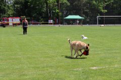 KOSUTY_2023_27