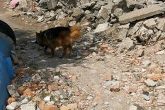 madarsko_37