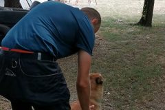 madarsko_75