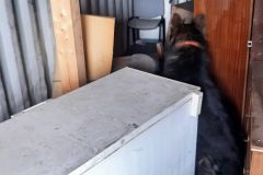madarsko_78