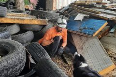 madarsko_82