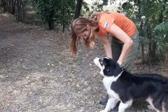 madarsko_89