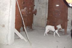 DSCF0586