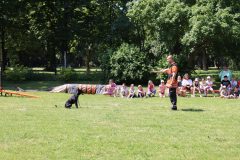 MDD_KOSUTY23_18