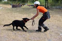 IMG-20220820-WA0021