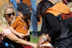 nova_dedinka260425_6