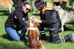 nova_dedinka260425_8