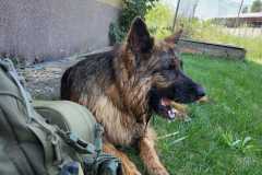 patracka_10072024_7