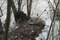 viber_image_2019-11-17_20-13-06