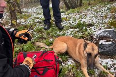 rescuers_DHZ_2024_13