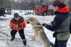 rescuers_DHZ_2024_14