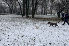 rescuers_DHZ_2024_16