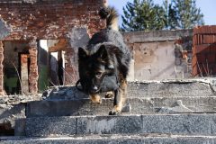 ruina_BB_57