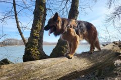 rusovce_2023_10