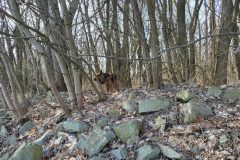 rusovce_2023_8