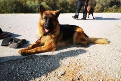 viber_image_2019-11-18_13-40-54-2