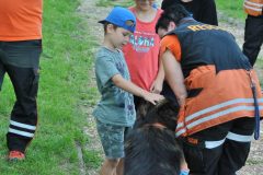 sibalko_10